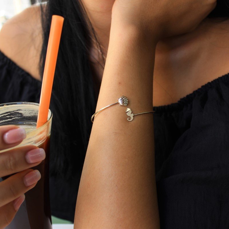 Bir Deniz Kabuğu Bir Denizatı Bilezik