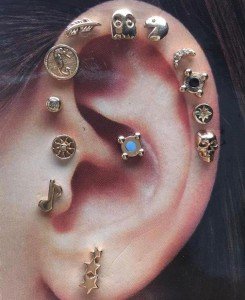 Tragus